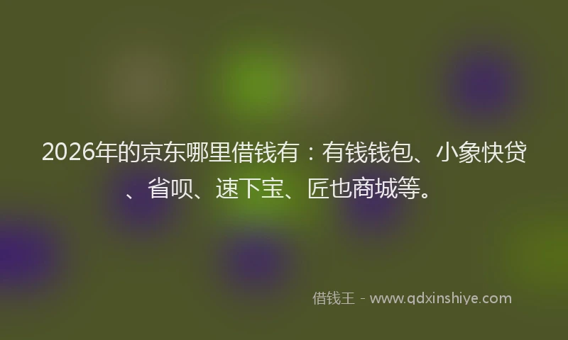 2026年的京东哪里借钱有：有钱钱包、小象快贷、省呗、速下宝、匠也商城等。