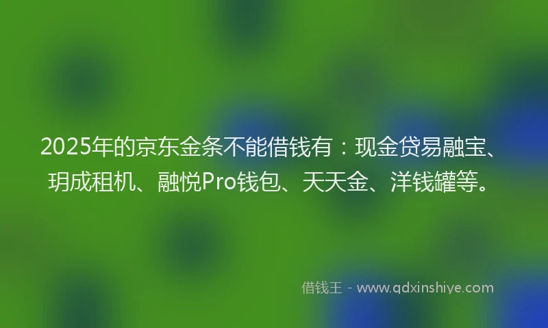 2025年的京东金条不能借钱有：现金贷易融宝、玥成租机、融悦Pro钱包、天天金、洋钱罐等。