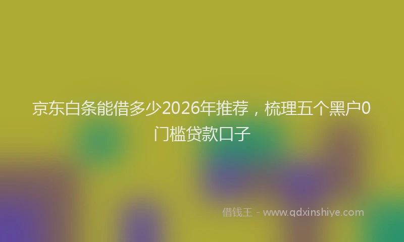 京东白条能借多少2026年推荐，梳理五个黑户0门槛贷款口子