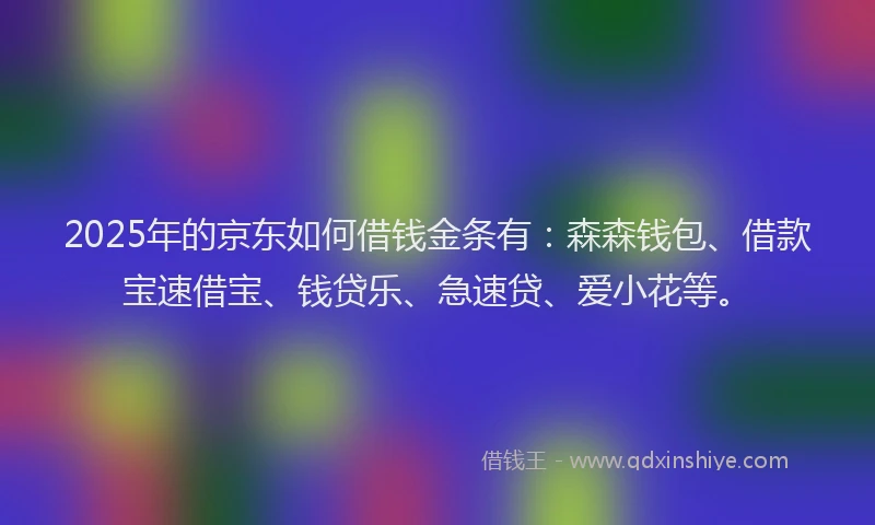 2025年的京东如何借钱金条有：森森钱包、借款宝速借宝、钱贷乐、急速贷、爱小花等。