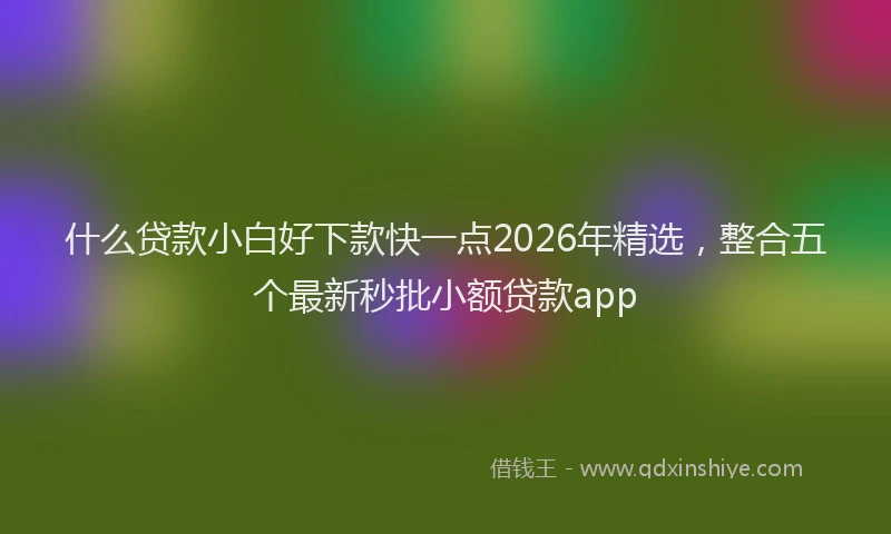 什么贷款小白好下款快一点2026年精选，整合五个最新秒批小额贷款app