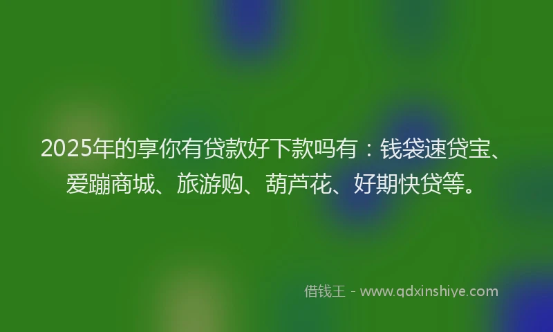 2025年的享你有贷款好下款吗有：钱袋速贷宝、爱蹦商城、旅游购、葫芦花、好期快贷等。