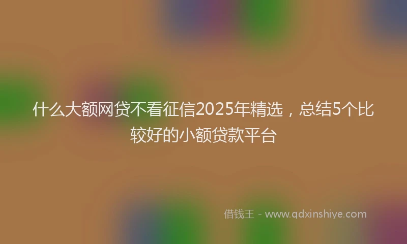 什么大额网贷不看征信2025年精选，总结5个比较好的小额贷款平台
