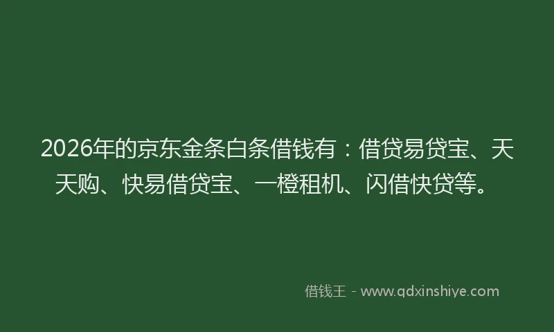 2026年的京东金条白条借钱有：借贷易贷宝、天天购、快易借贷宝、一橙租机、闪借快贷等。