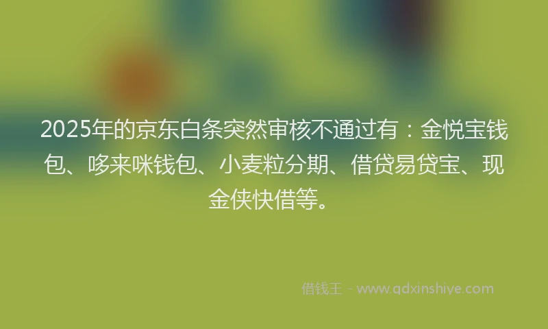 2025年的京东白条突然审核不通过有:金悦宝钱包、哆来咪钱包、小麦粒分期、借贷易贷宝、现金侠快借等。