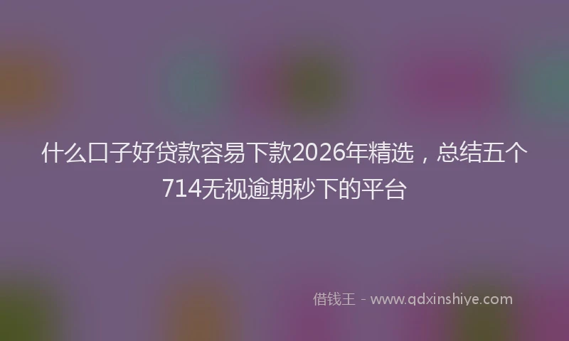 什么口子好贷款容易下款2026年精选，总结五个714无视逾期秒下的平台
