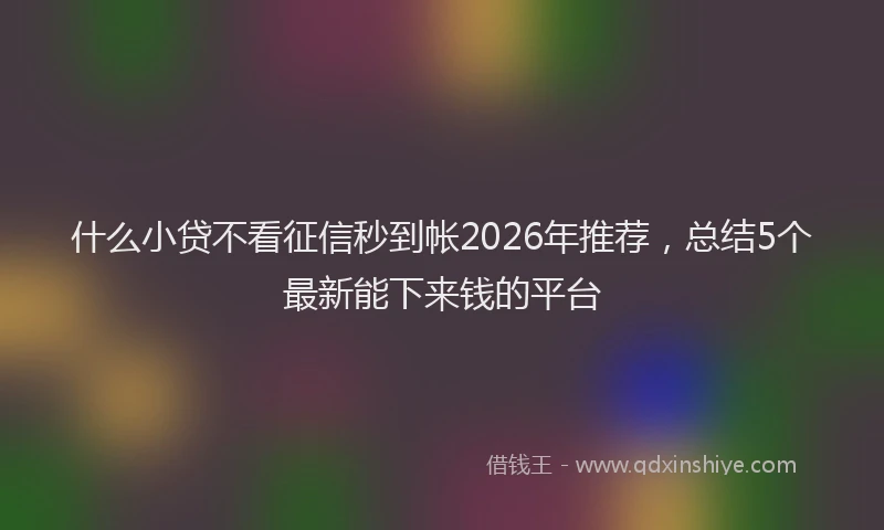 什么小贷不看征信秒到帐2026年推荐，总结5个最新能下来钱的平台