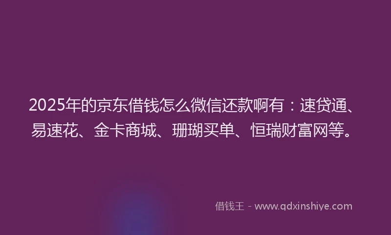 2025年的京东借钱怎么微信还款啊有：速贷通、易速花、金卡商城、珊瑚买单、恒瑞财富网等。