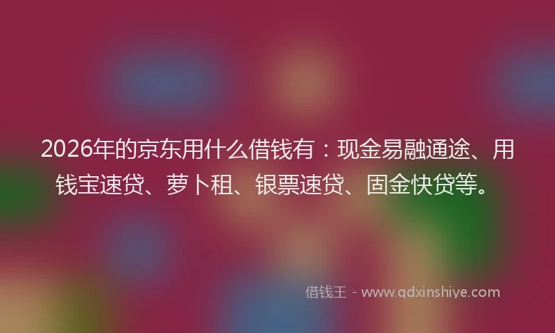2026年的京东用什么借钱有：现金易融通途、用钱宝速贷、萝卜租、银票速贷、固金快贷等。
