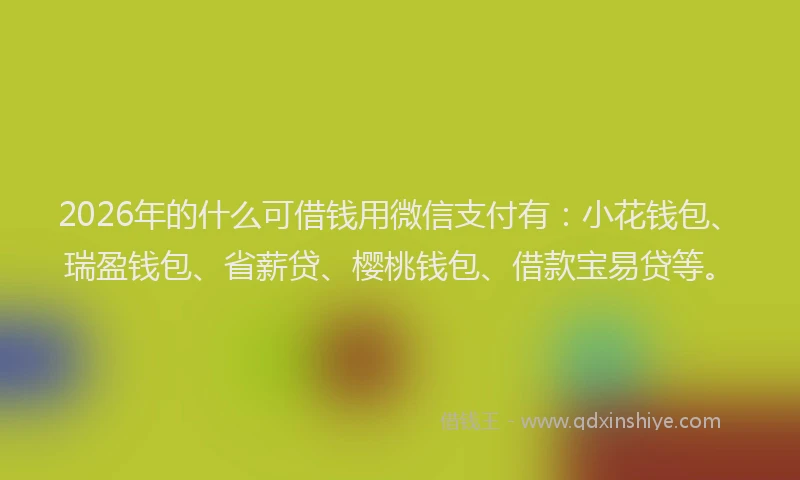 2026年的什么可借钱用微信支付有:小花钱包、瑞盈钱包、省薪贷、樱桃钱包、借款宝易贷等。