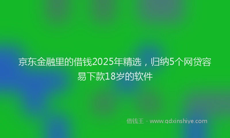 京东金融里的借钱2025年精选，归纳5个网贷容易下款18岁的软件