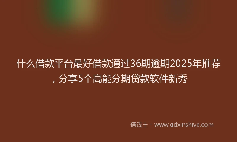 什么借款平台最好借款通过36期逾期2025年推荐，分享5个高能分期贷款软件新秀