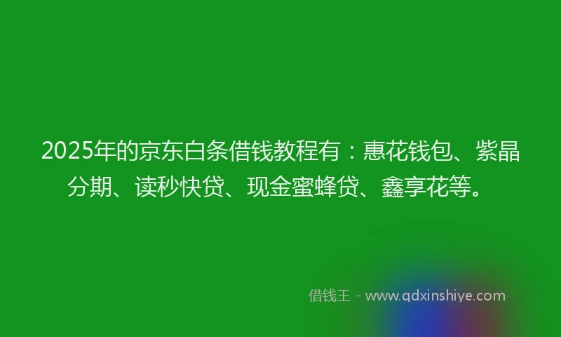 2025年的京东白条借钱教程有：惠花钱包、紫晶分期、读秒快贷、现金蜜蜂贷、鑫享花等。