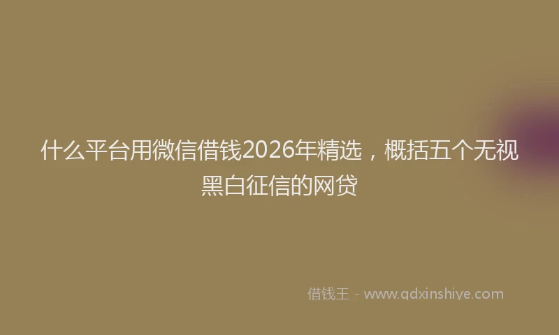 什么平台用微信借钱2026年精选，概括五个无视黑白征信的网贷
