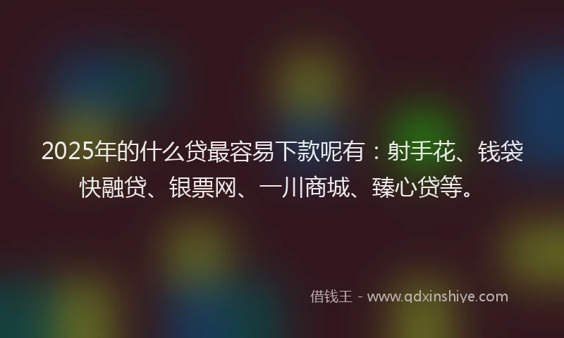 2025年的什么贷最容易下款呢有：射手花、钱袋快融贷、银票网、一川商城、臻心贷等。