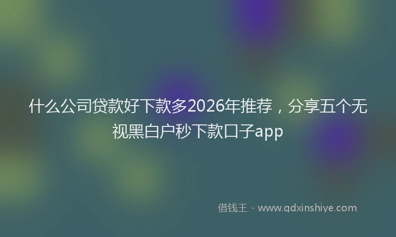 什么公司贷款好下款多2026年推荐,分享五个无视黑白户秒下款口子app