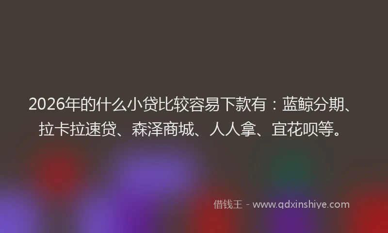 2026年的什么小贷比较容易下款有：蓝鲸分期、拉卡拉速贷、森泽商城、人人拿、宜花呗等。