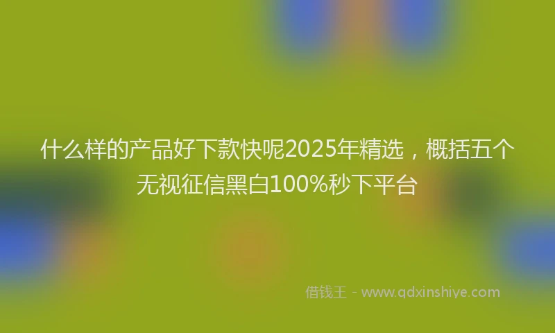 什么样的产品好下款快呢2025年精选，概括五个无视征信黑白100%秒下平台