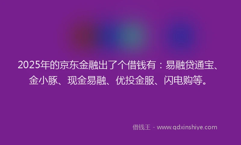 2025年的京东金融出了个借钱有:易融贷通宝、金小豚、现金易融、优投金服、闪电购等。
