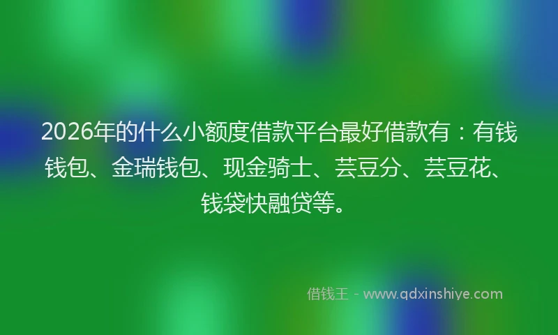 2026年的什么小额度借款平台最好借款有：有钱钱包、金瑞钱包、现金骑士、芸豆分、芸豆花、钱袋快融贷等。