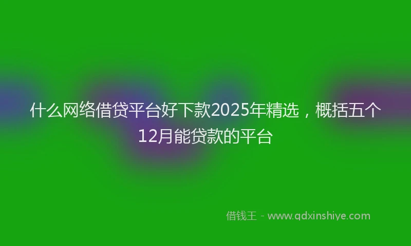 什么网络借贷平台好下款2025年精选，概括五个12月能贷款的平台