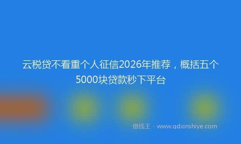 云税贷不看重个人征信2026年推荐，概括五个5000块贷款秒下平台