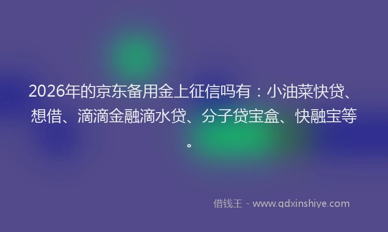 2026年的京东备用金上征信吗有：小油菜快贷、想借、滴滴金融滴水贷、分子贷宝盒、快融宝等。