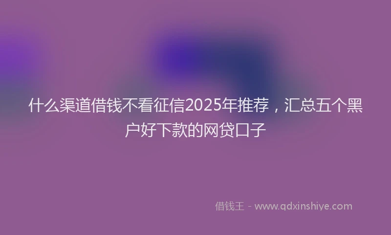 什么渠道借钱不看征信2025年推荐,汇总五个黑户好下款的网贷口子