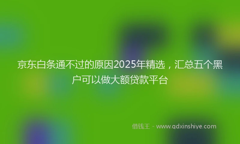 京东白条通不过的原因2025年精选，汇总五个黑户可以做大额贷款平台