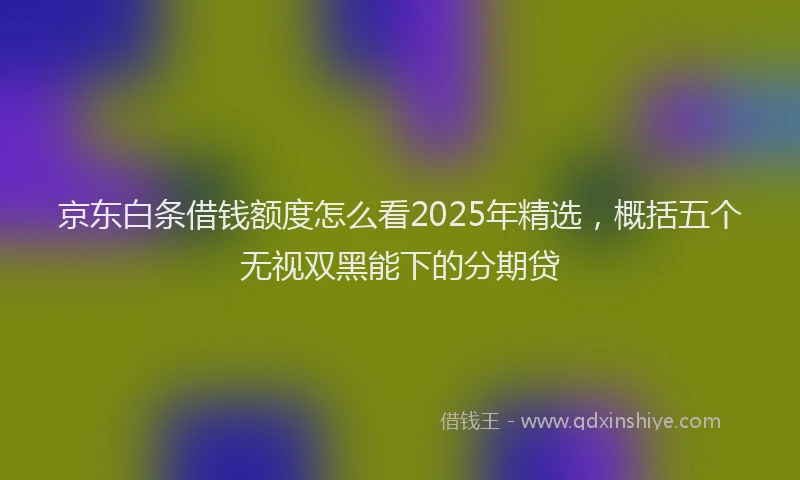 京东白条借钱额度怎么看2025年精选，概括五个无视双黑能下的分期贷