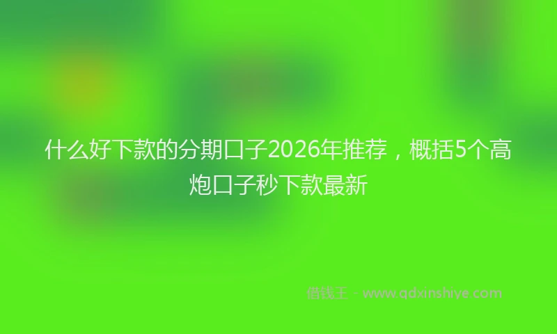 什么好下款的分期口子2026年推荐，概括5个高炮口子秒下款最新