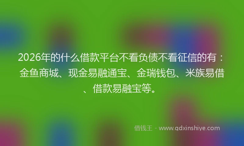 2026年的什么借款平台不看负债不看征信的有：金鱼商城、现金易融通宝、金瑞钱包、米族易借、借款易融宝等。