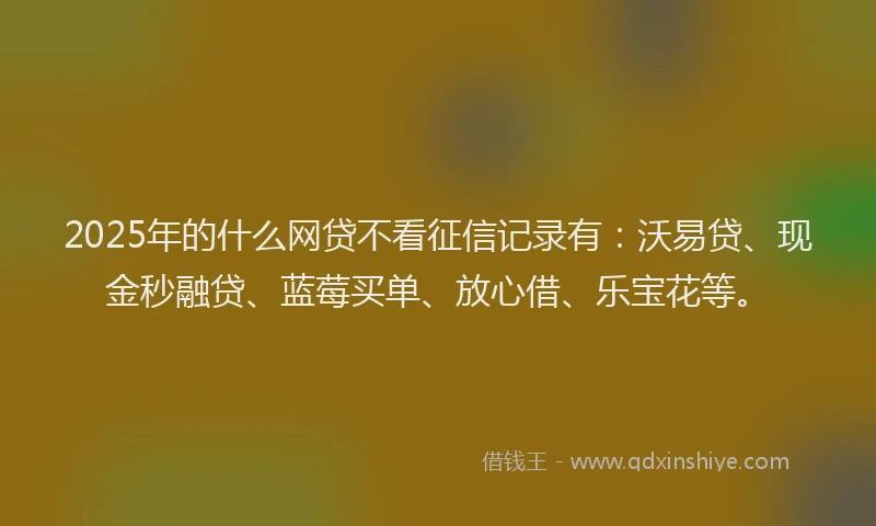 2025年的什么网贷不看征信记录有：沃易贷、现金秒融贷、蓝莓买单、放心借、乐宝花等。