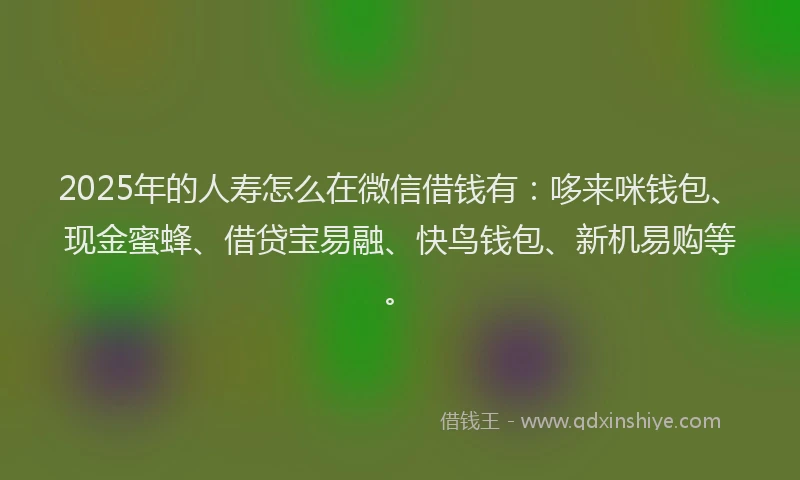 2025年的人寿怎么在微信借钱有：哆来咪钱包、现金蜜蜂、借贷宝易融、快鸟钱包、新机易购等。