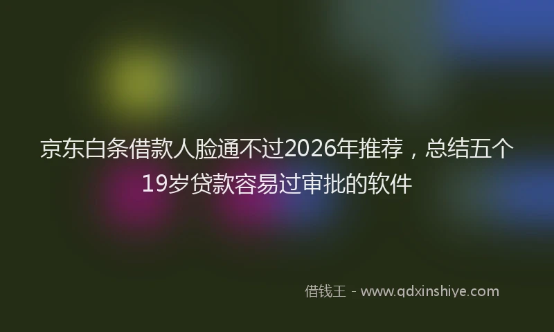京东白条借款人脸通不过2026年推荐，总结五个19岁贷款容易过审批的软件