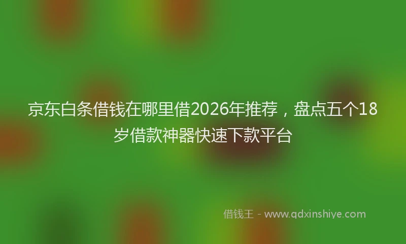 京东白条借钱在哪里借2026年推荐,盘点五个18岁借款神器快速下款平台