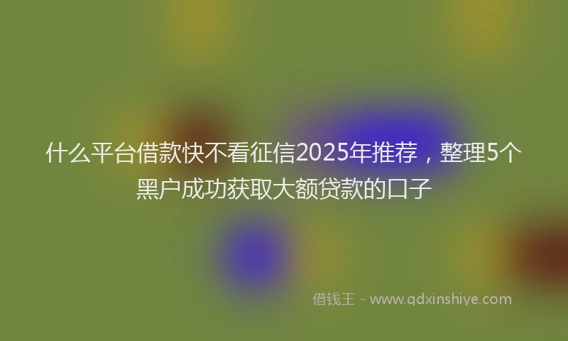什么平台借款快不看征信2025年推荐，整理5个黑户成功获取大额贷款的口子