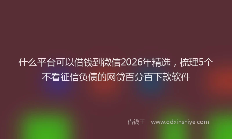 什么平台可以借钱到微信2026年精选，梳理5个不看征信负债的网贷百分百下款软件