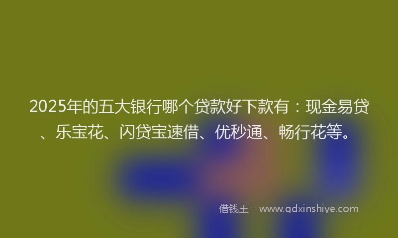 2025年的五大银行哪个贷款好下款有:现金易贷、乐宝花、闪贷宝速借、优秒通、畅行花等。
