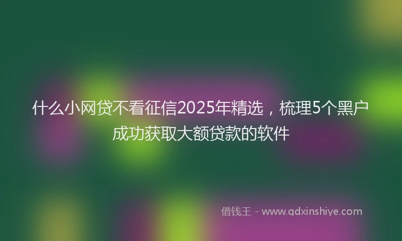 什么小网贷不看征信2025年精选，梳理5个黑户成功获取大额贷款的软件