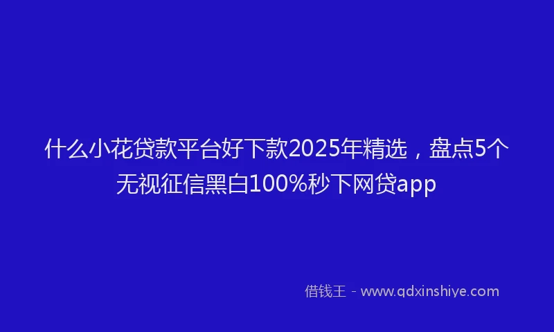 什么小花贷款平台好下款2025年精选，盘点5个无视征信黑白100%秒下网贷app
