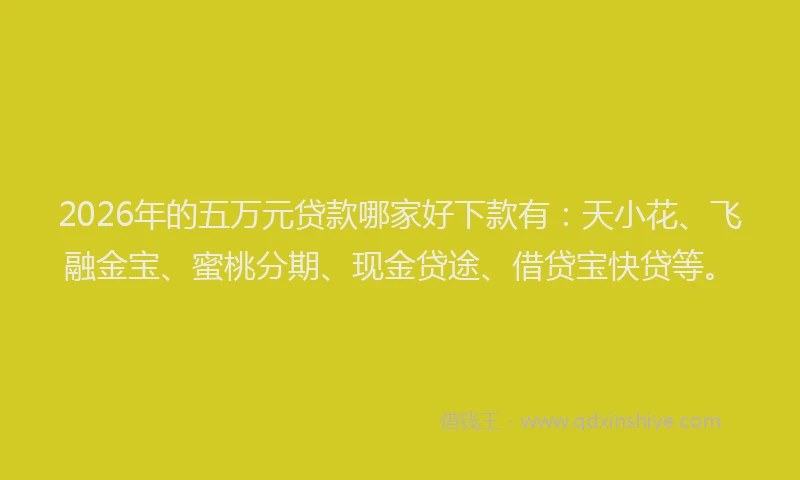 2026年的五万元贷款哪家好下款有:天小花、飞融金宝、蜜桃分期、现金贷途、借贷宝快贷等。