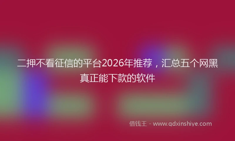 二押不看征信的平台2026年推荐，汇总五个网黑真正能下款的软件