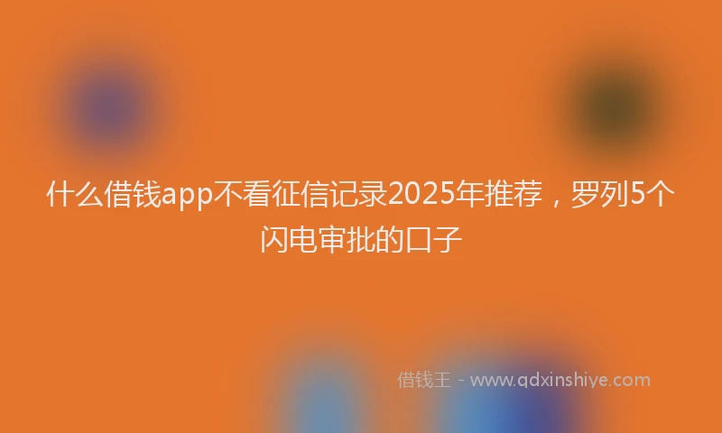 什么借钱app不看征信记录2025年推荐，罗列5个闪电审批的口子