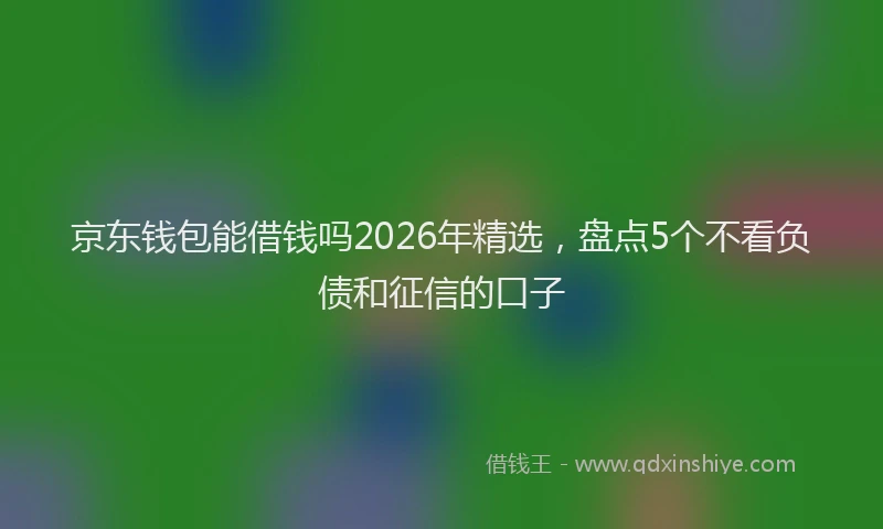 京东钱包能借钱吗2026年精选，盘点5个不看负债和征信的口子