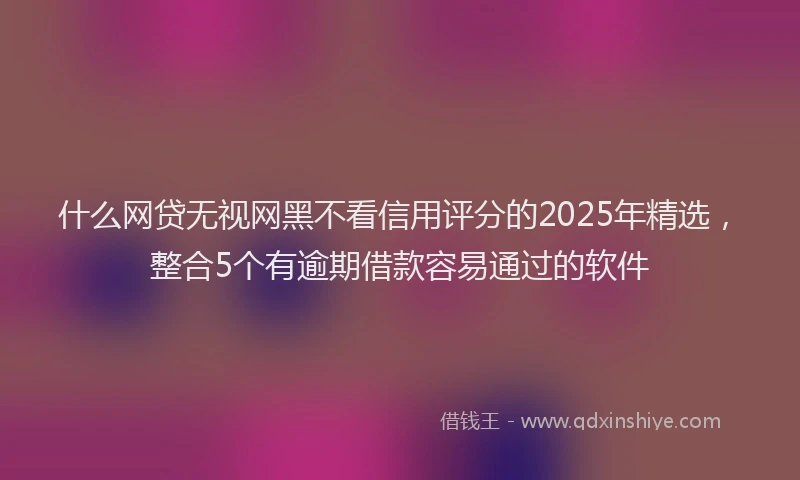 什么网贷无视网黑不看信用评分的2025年精选,整合5个有逾期借款容易通过的软件