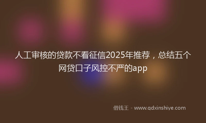 人工审核的贷款不看征信2025年推荐，总结五个网贷口子风控不严的app