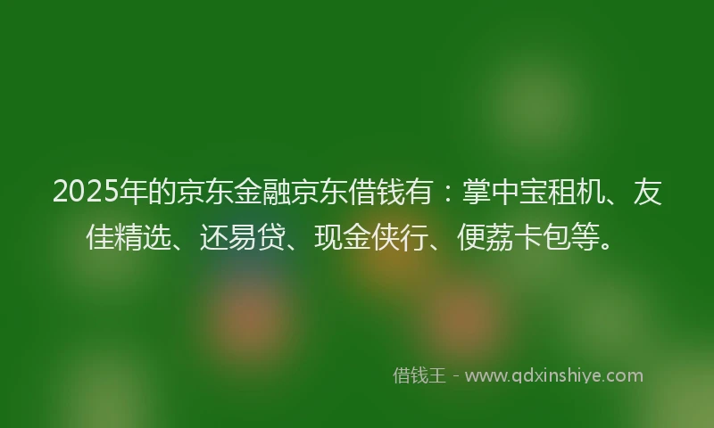 2025年的京东金融京东借钱有：掌中宝租机、友佳精选、还易贷、现金侠行、便荔卡包等。
