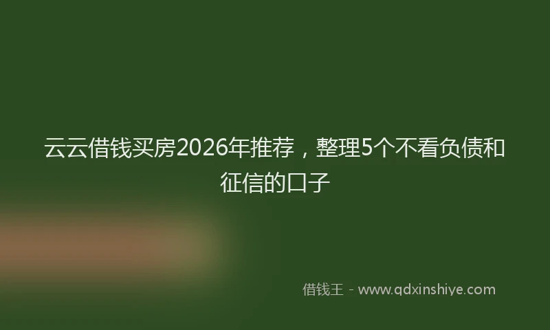 云云借钱买房2026年推荐，整理5个不看负债和征信的口子