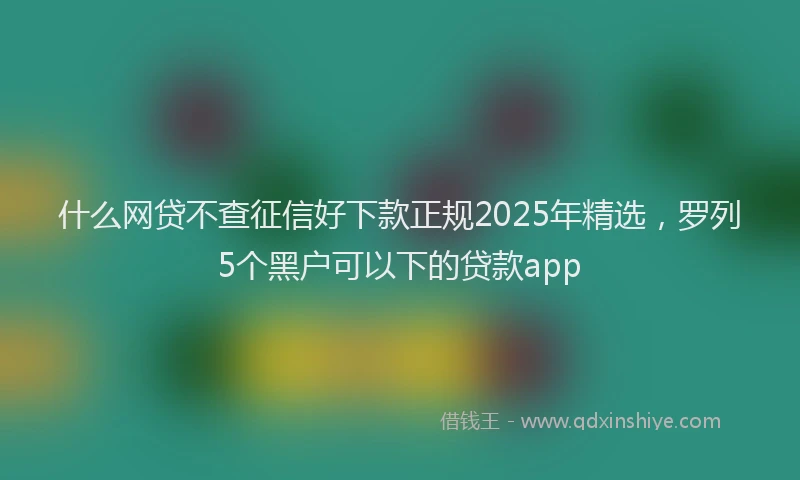 什么网贷不查征信好下款正规2025年精选,罗列5个黑户可以下的贷款app